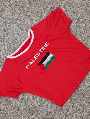 Red 'PALESTINE' Graphic Tee with Flag Embroidery